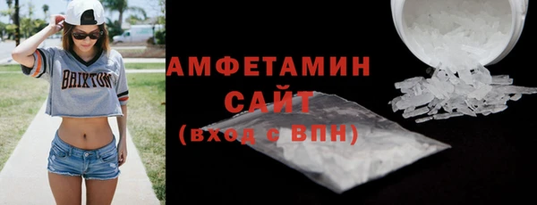 дмт Богданович