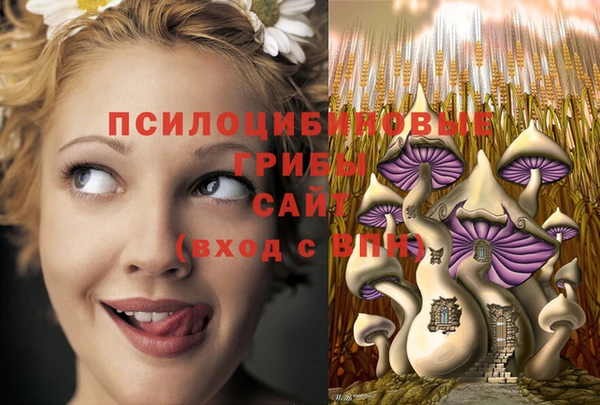 дмт Богданович