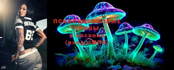 PSILOCYBIN Богородицк